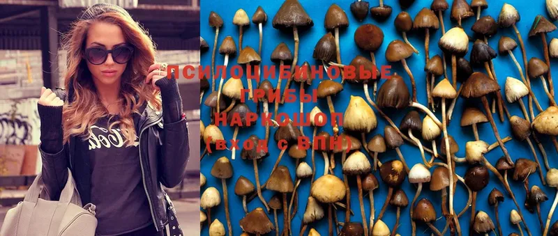 Галлюциногенные грибы GOLDEN TEACHER  купить  сайты  Агрыз 